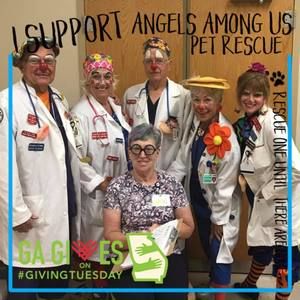 Meet your Posher, Irma